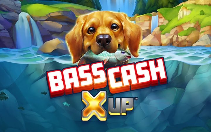 Bass Cash X UP