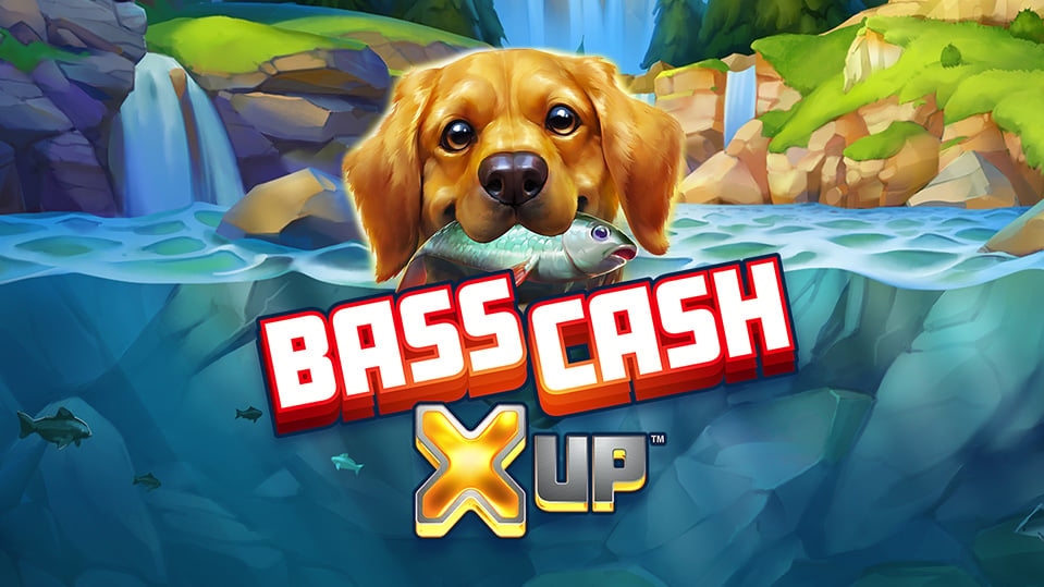 Bass Cash X UP