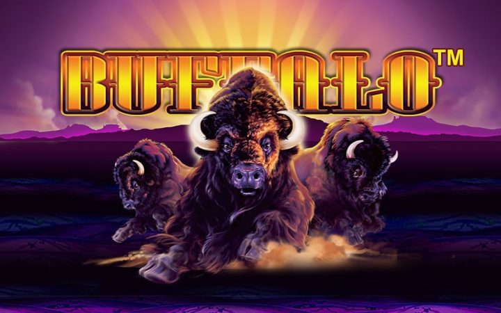 Buffalo