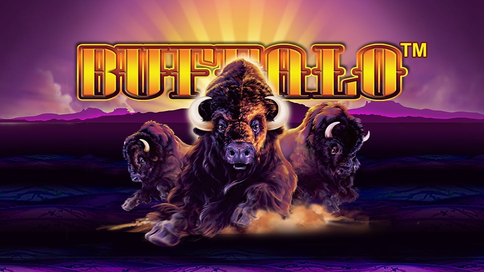Buffalo