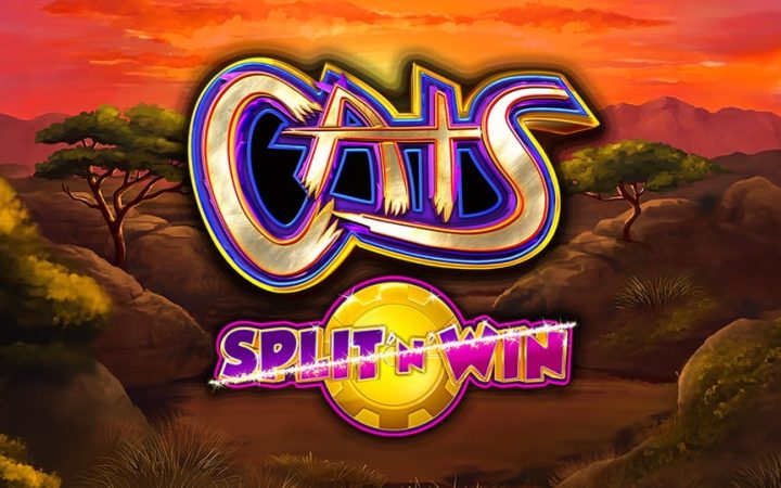 Cats Split 'N' Win