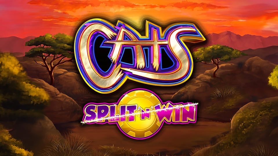 Cats Split 'N' Win