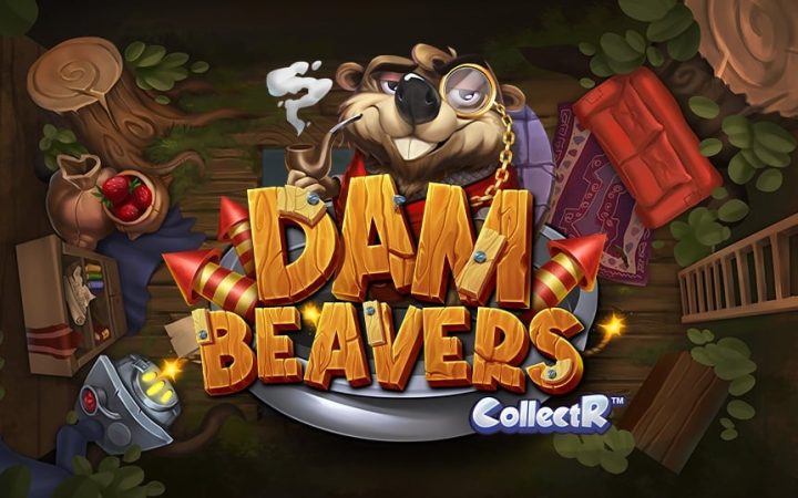 Dam Beavers
