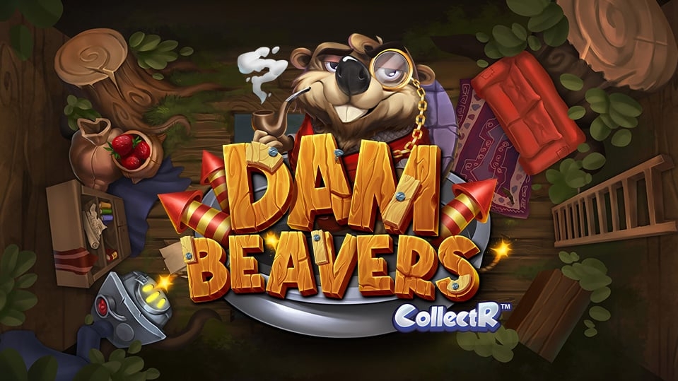 Dam Beavers