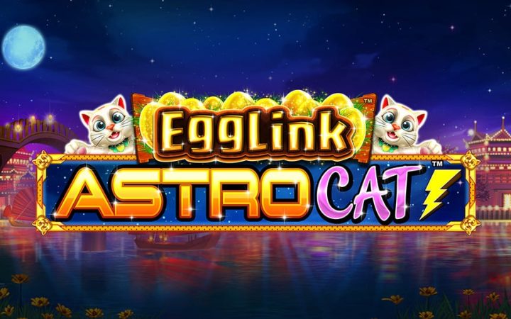 Egglink Astrocat