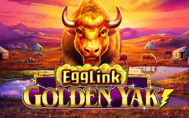 Egglink Golden Yak