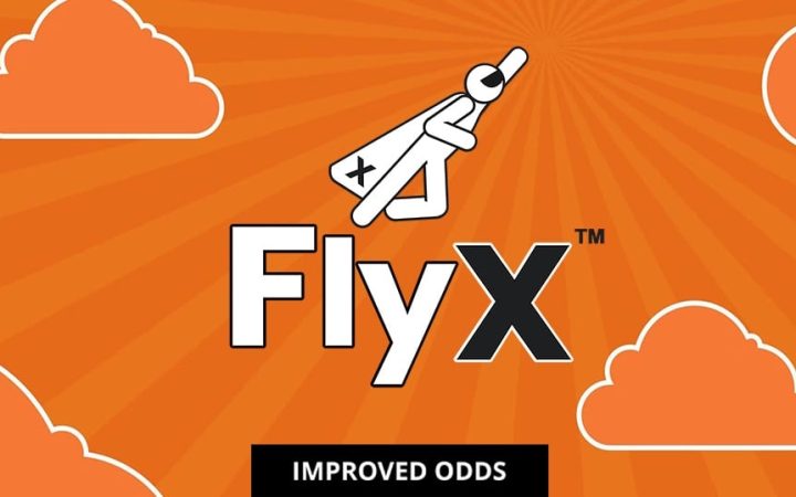 FlyX