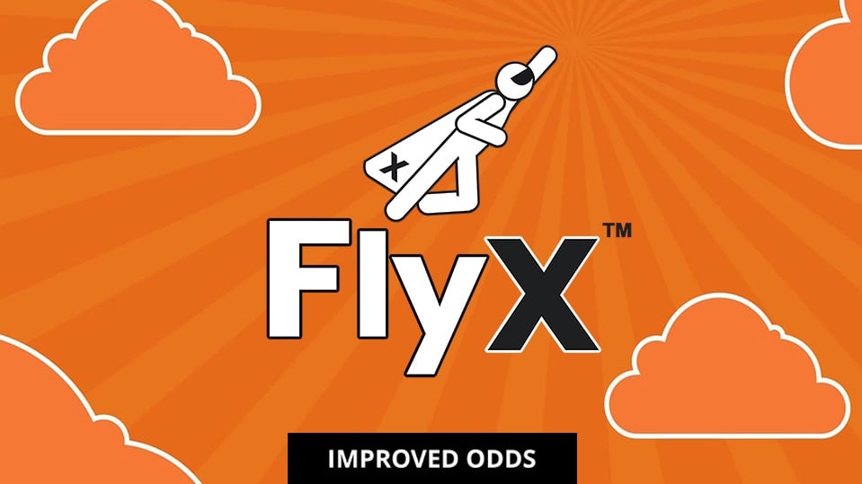 FlyX