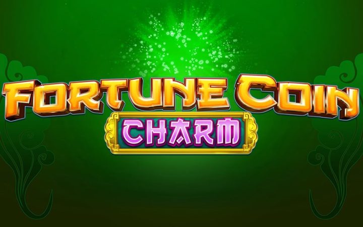 Fortune Coin Charm