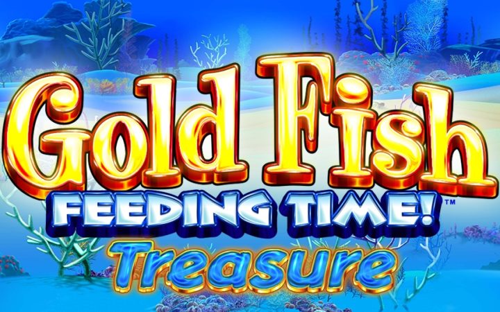 Gold Fish Feeding Time! Treasure