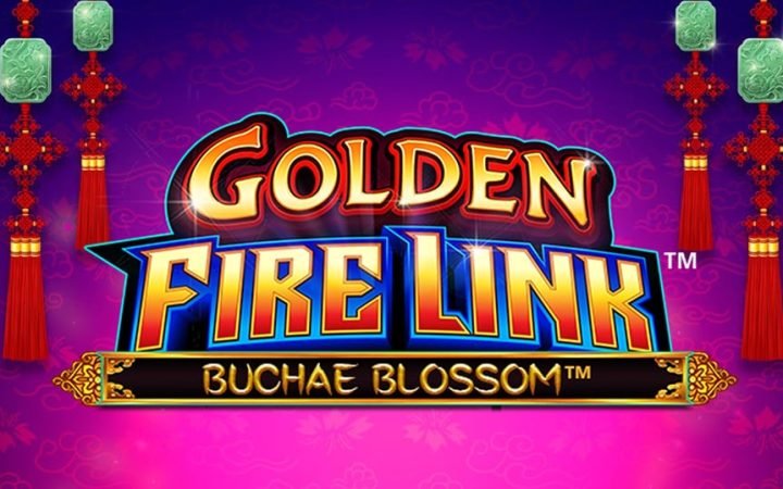Golden Fire Link - Buchae Blossom
