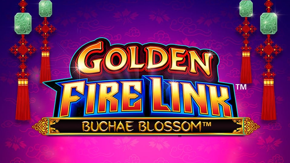 Golden Fire Link - Buchae Blossom