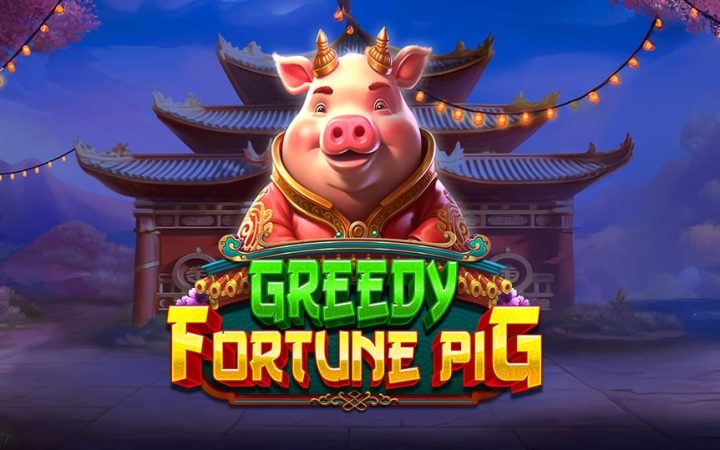 Greedy Fortune Pig