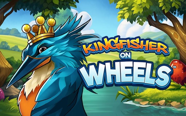 Kingfisher on Wheels