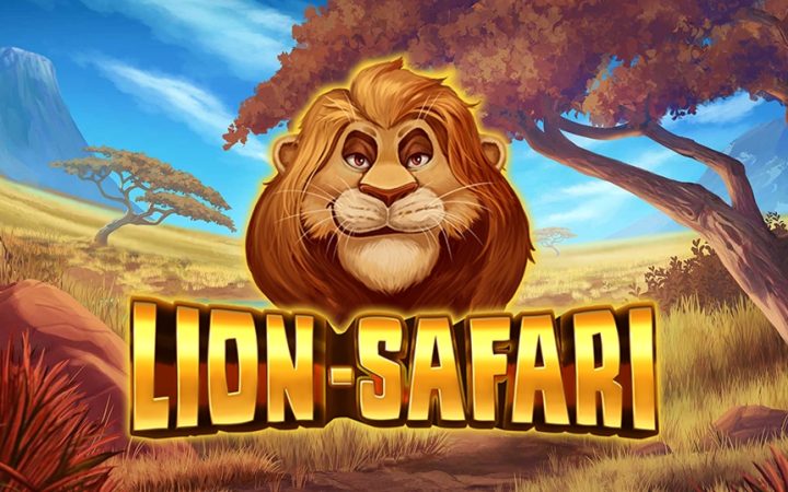 Lion Safari