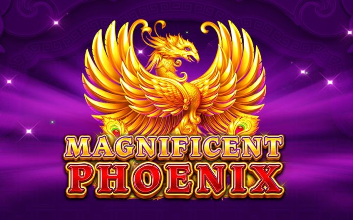Magnificent Phoenix