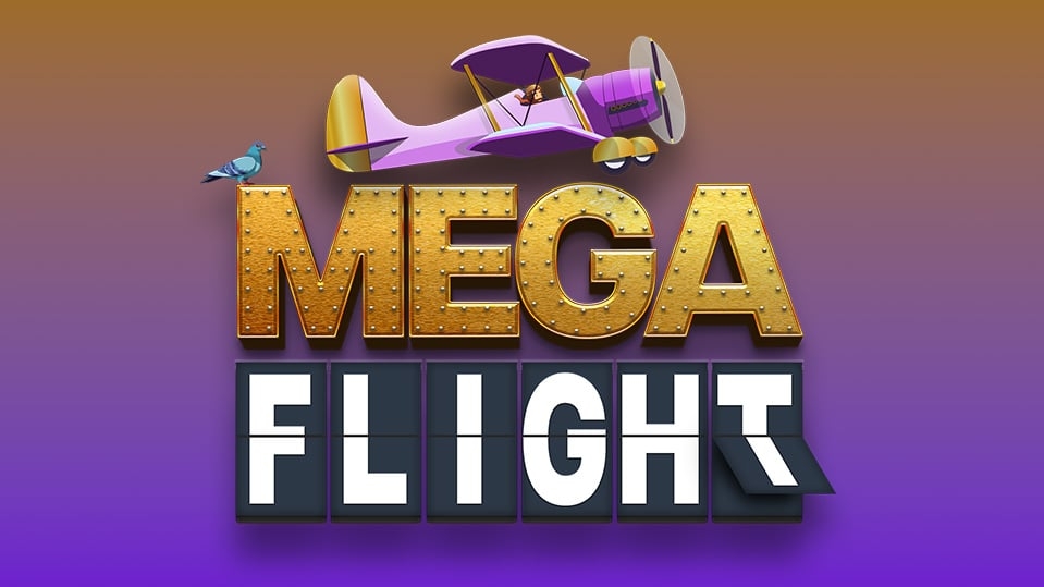 Mega Flight