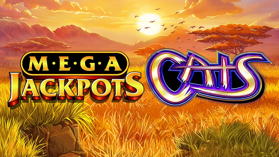 MegaJackpots Cats