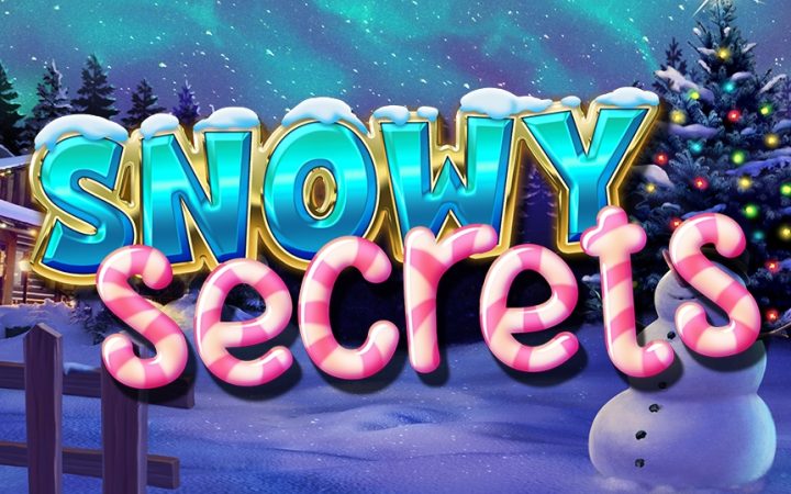 Snowy Secrets