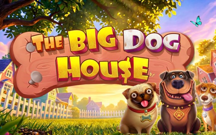 The Big Dog House