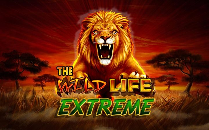 The Wild Life Extreme